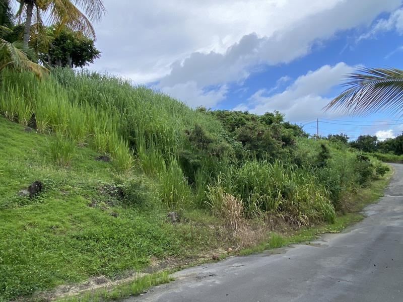 RE/MAX real estate, Puerto Rico, Rio Grande, Rio Grande, Dream land for sale with ocean view, in a private location 