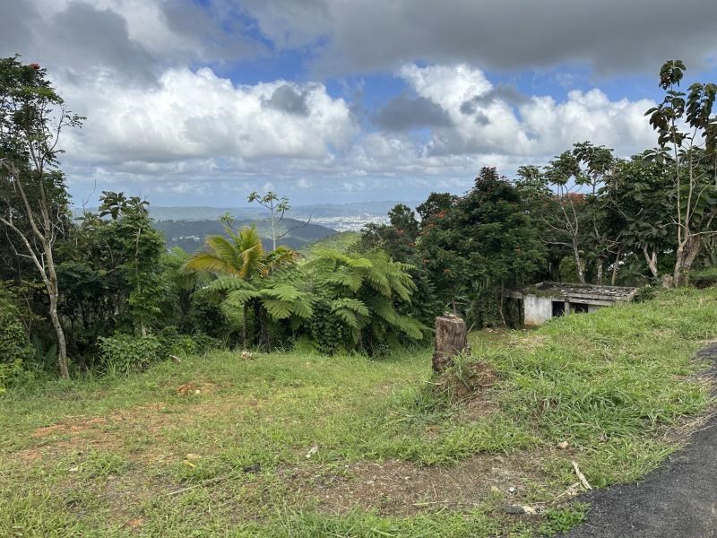  Caguas, Fincas El Recreo, 0.8 acres lot with Panoramic views
