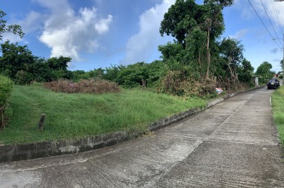 Ruth Lot - River Sallee Grenada