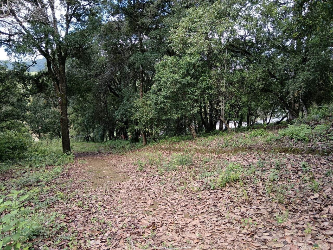 Remax real estate, Guatemala, San Lucas Sacatepequez, 5733 - LAND FOR SALE IN SAN LUCAS - FS