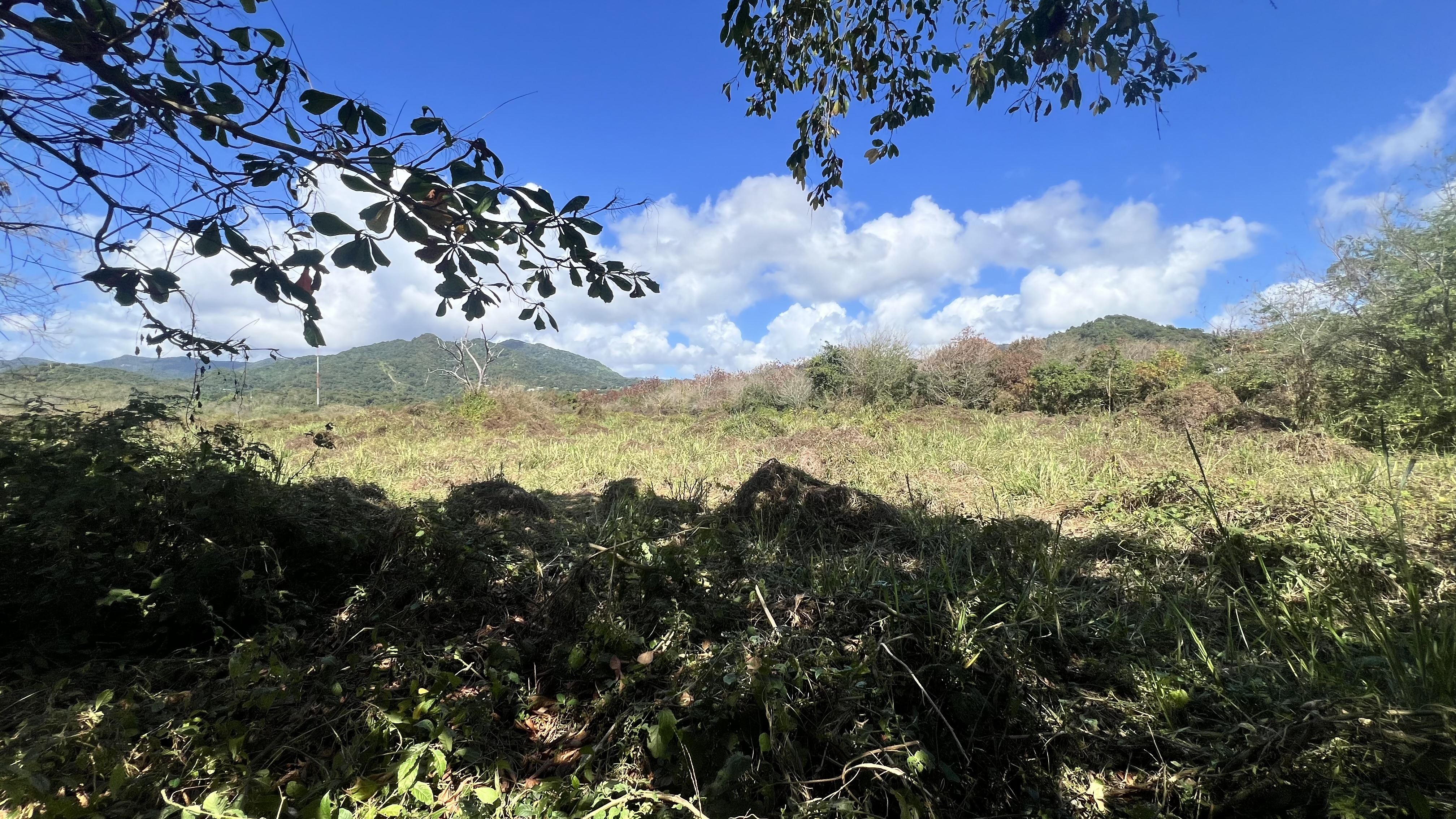 RE/MAX real estate, Puerto Rico, Patillas, 52 acres of land Bo. Cacao Bajo, Patillas