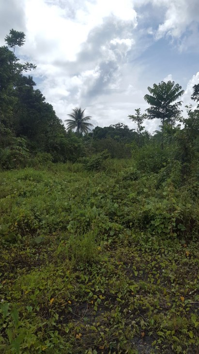 Land for Sale - Sangre Chiquito - Sangre Grande Trinidad and Tobago