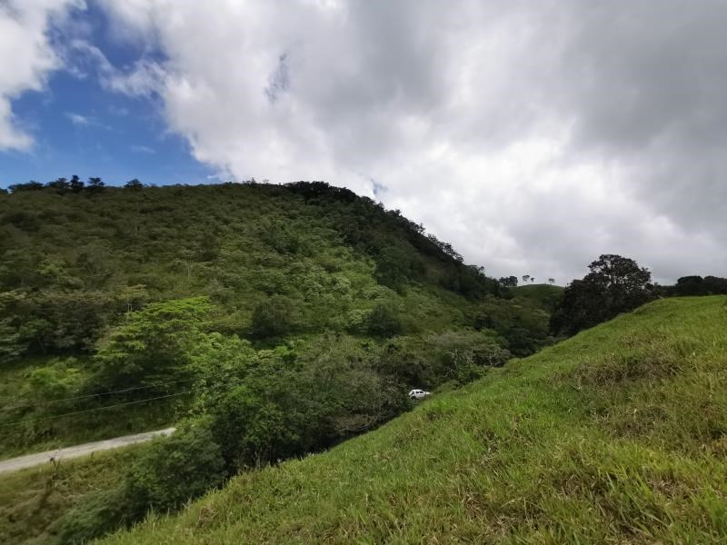 Remax real estate, Panama, Bugaba - Volcan, For sale ocean view farm of 97 hectares located in Volcan. 