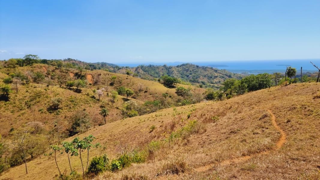 Remax real estate, Panama, Tole - Lajas de Tole, ¡Investment opportunity in Panama! 31 acres of ocean view.