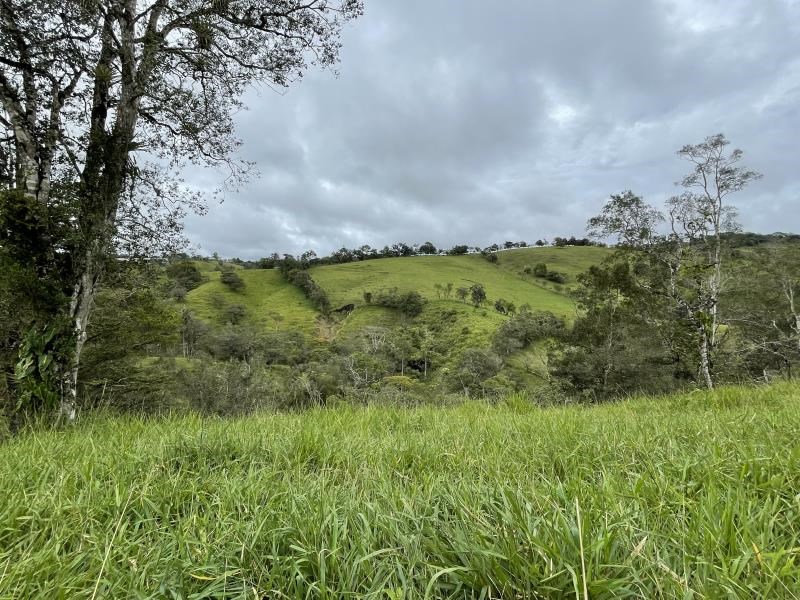 Remax real estate, Panama, Volcan, Titled Farm with Excellent Land Value Appreciation Potential in Tierras Altas, Panama