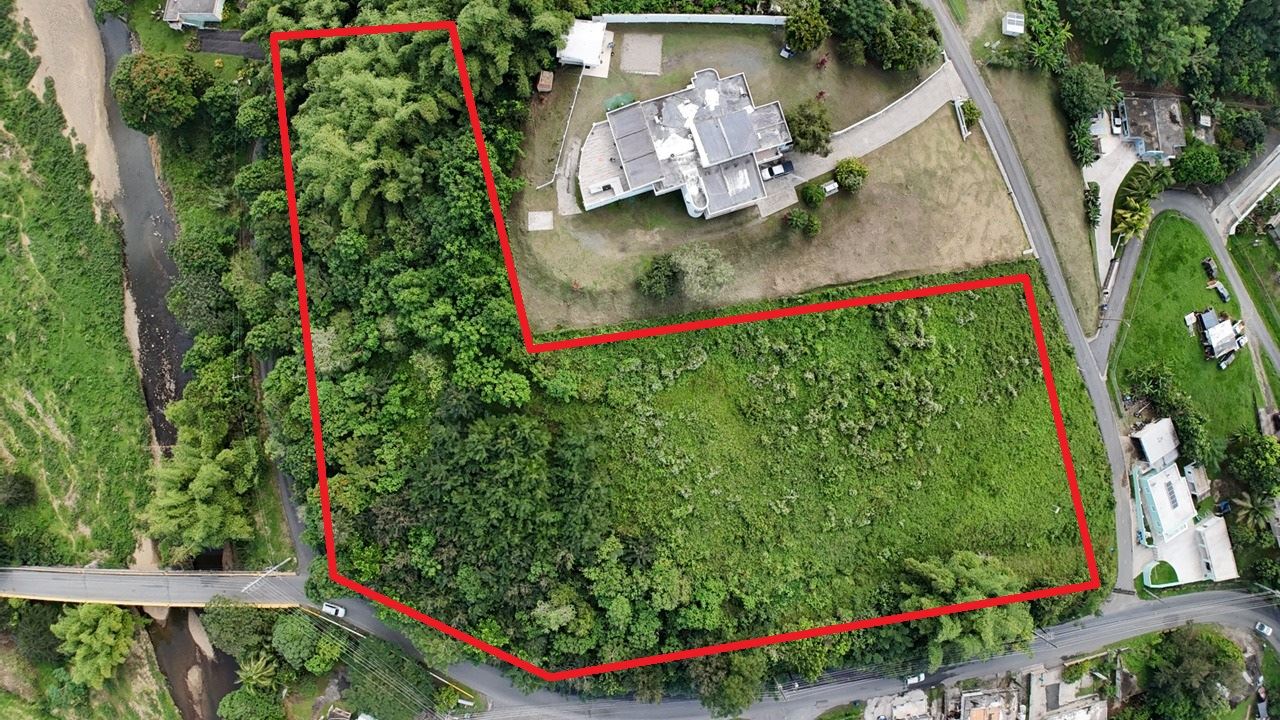 RE/MAX real estate, Puerto Rico, Juncos, Versatile terrain!