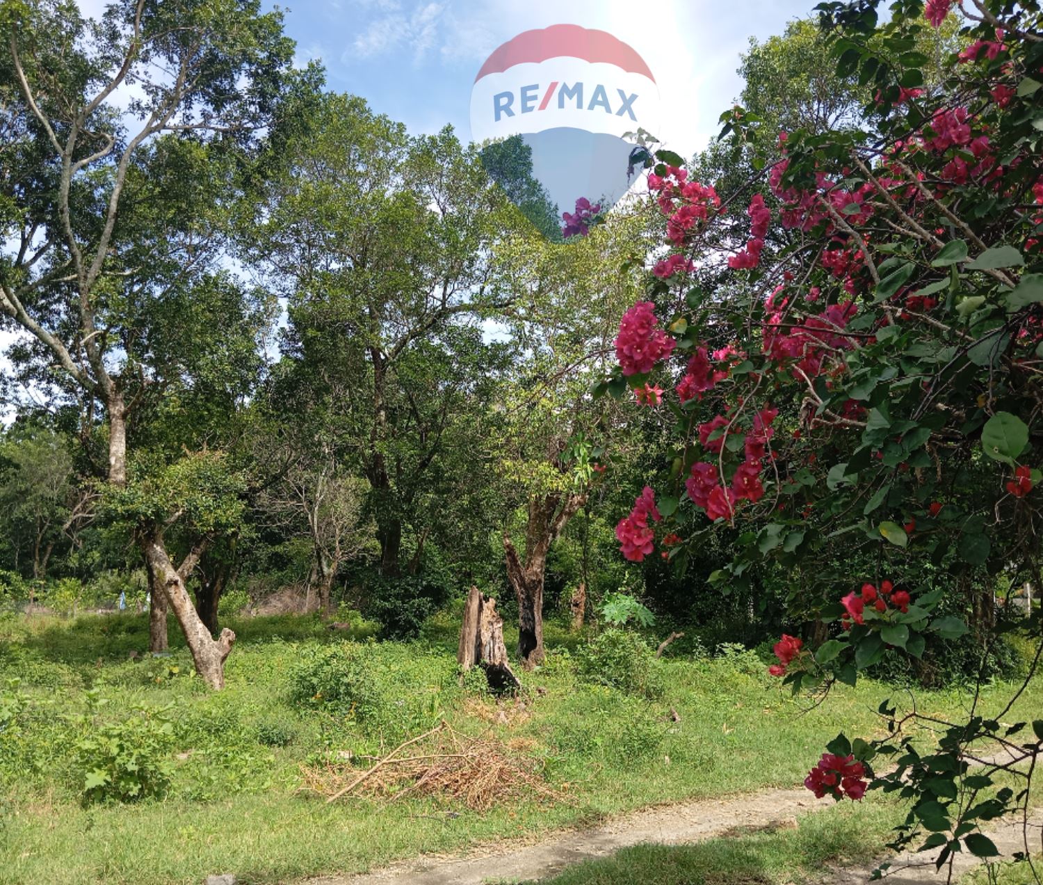 RE/MAX real estate, El Salvador, Ayutica, LAND FOR SALE SANTA ADELA. SANTA ANA 