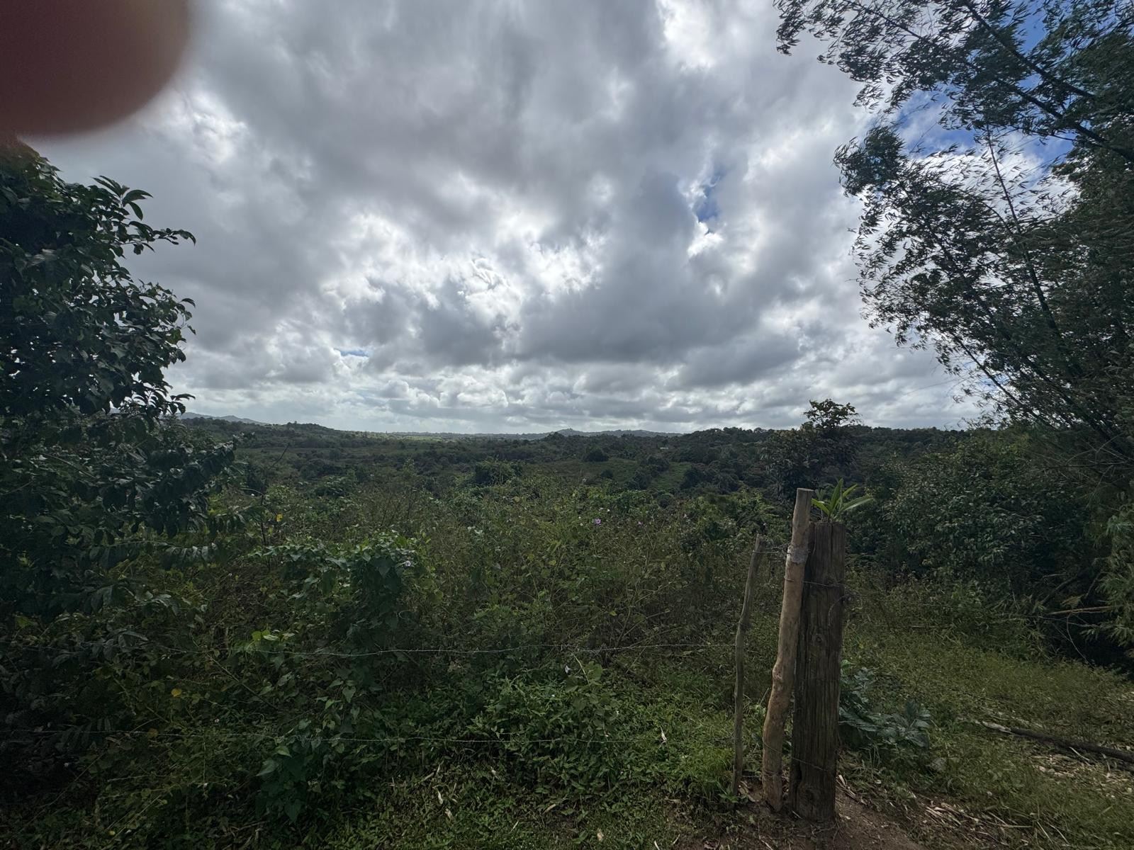 RE/MAX real estate, Puerto Rico, Juncos, Beautiful Land in Juncos PR