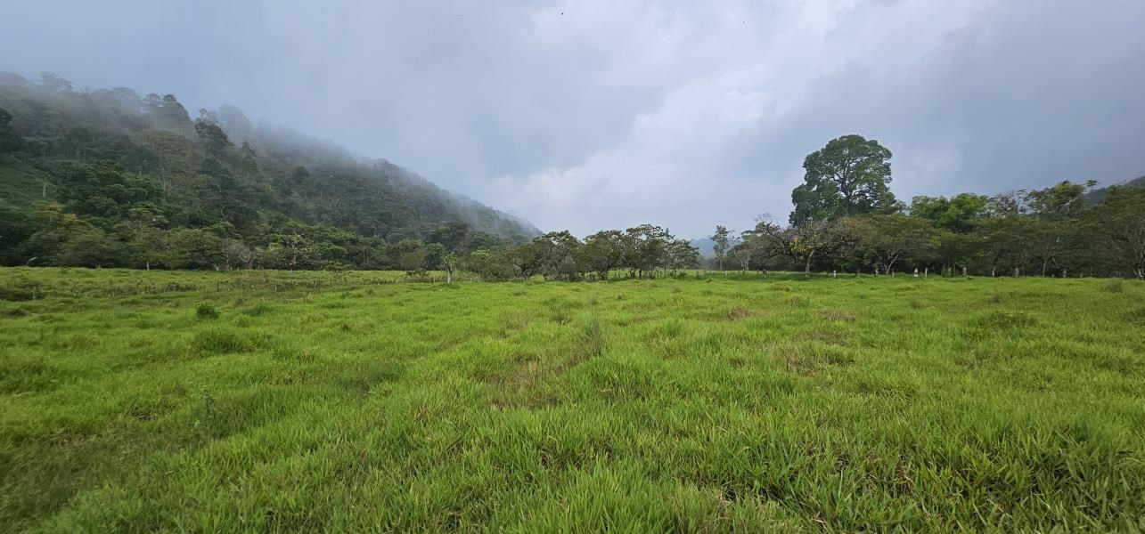 Remax real estate, Panama, Boqueron - Cordillera, 20 hectare farm for sale in Los Naranjos Cordillera