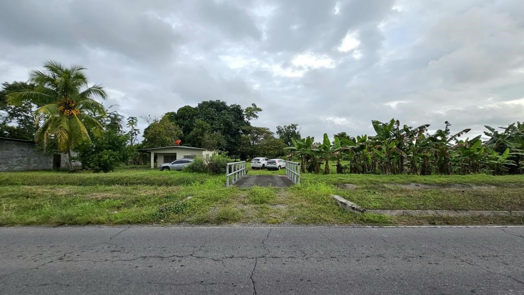 RE/MAX real estate, Panama, Alanje - Guarumal, Investment Opportunity: Land with House and Warehouse in Guarumal Arriba, Ideal for Business