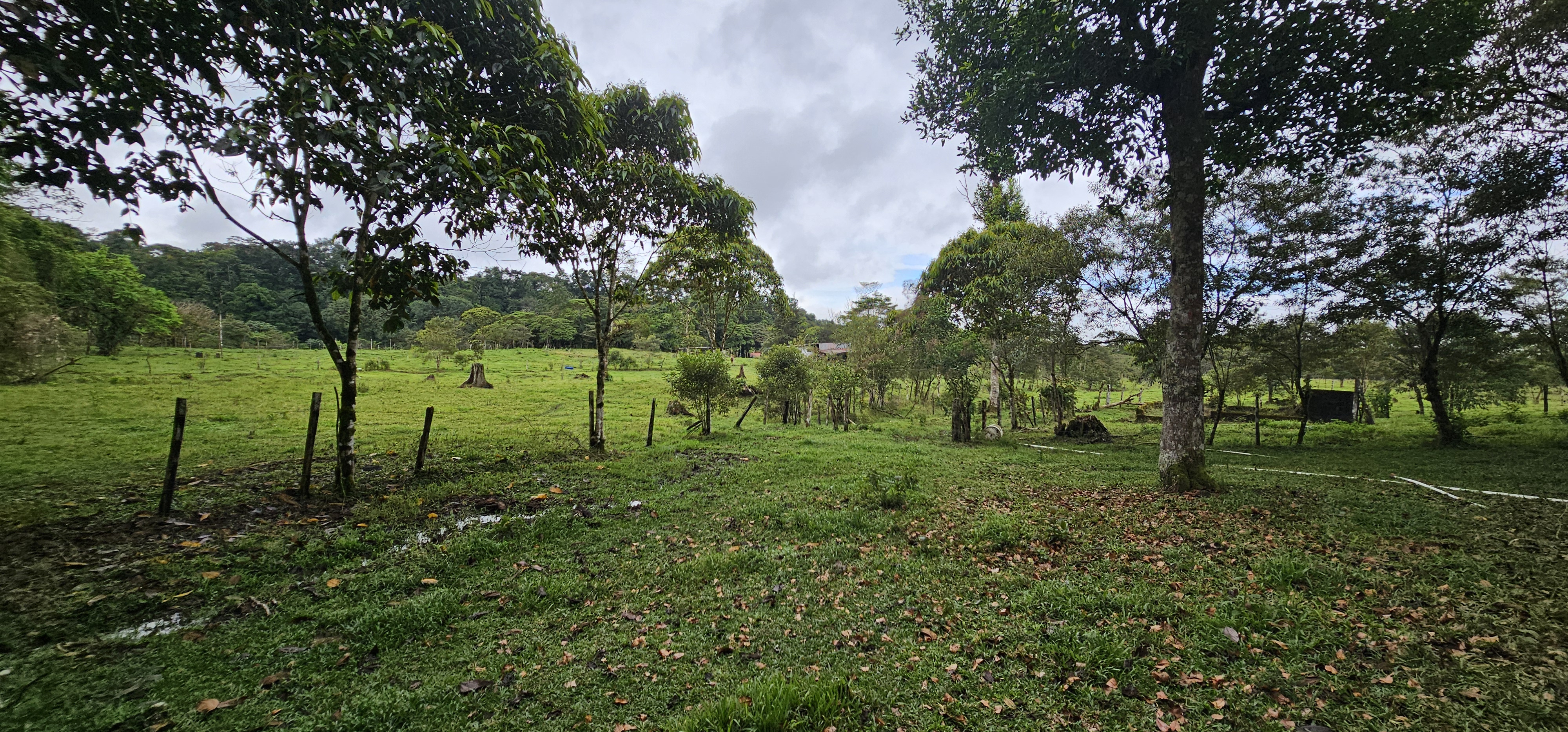 Farm in Boquerón Guayabal with Seasonal Waterfall and River