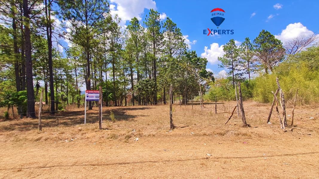 RE/MAX real estate, Honduras, Siguatepeque, BEAUTIFUL LAND FOR SALE LOCATED IN THE CITY OF SIGUATEPEQUE