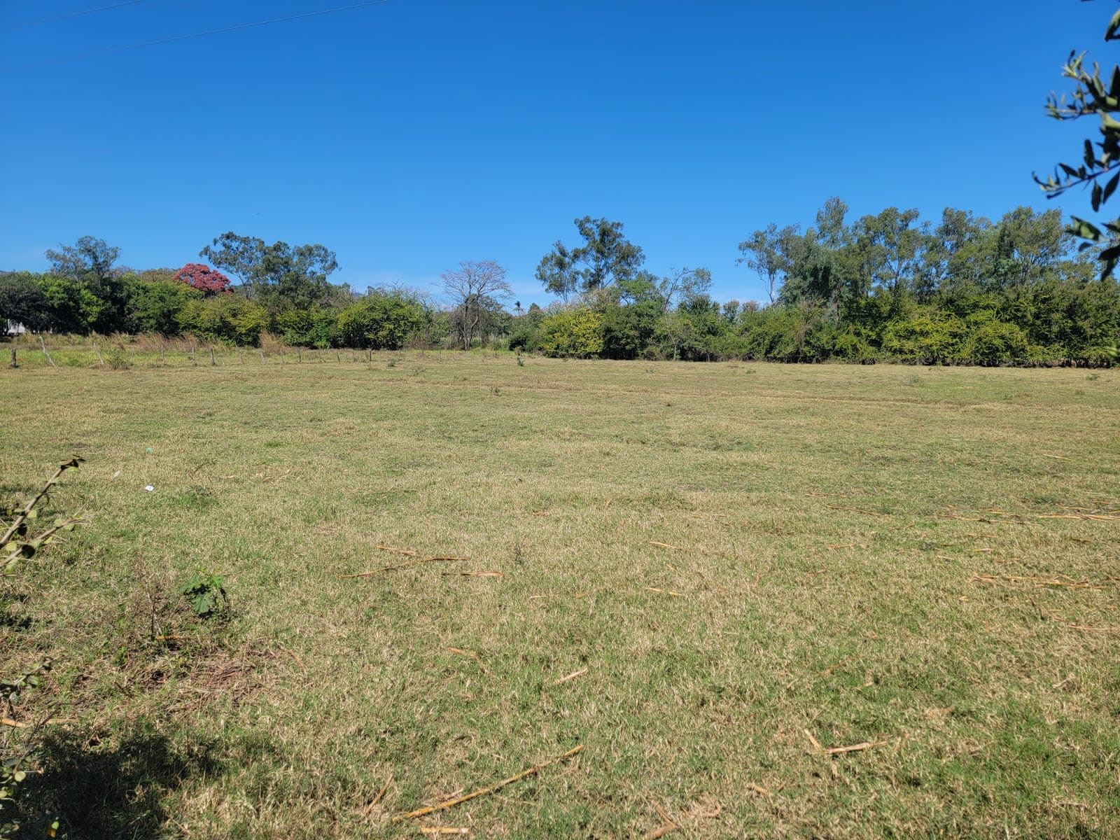 Plot in Santa Ana Ciudad Real