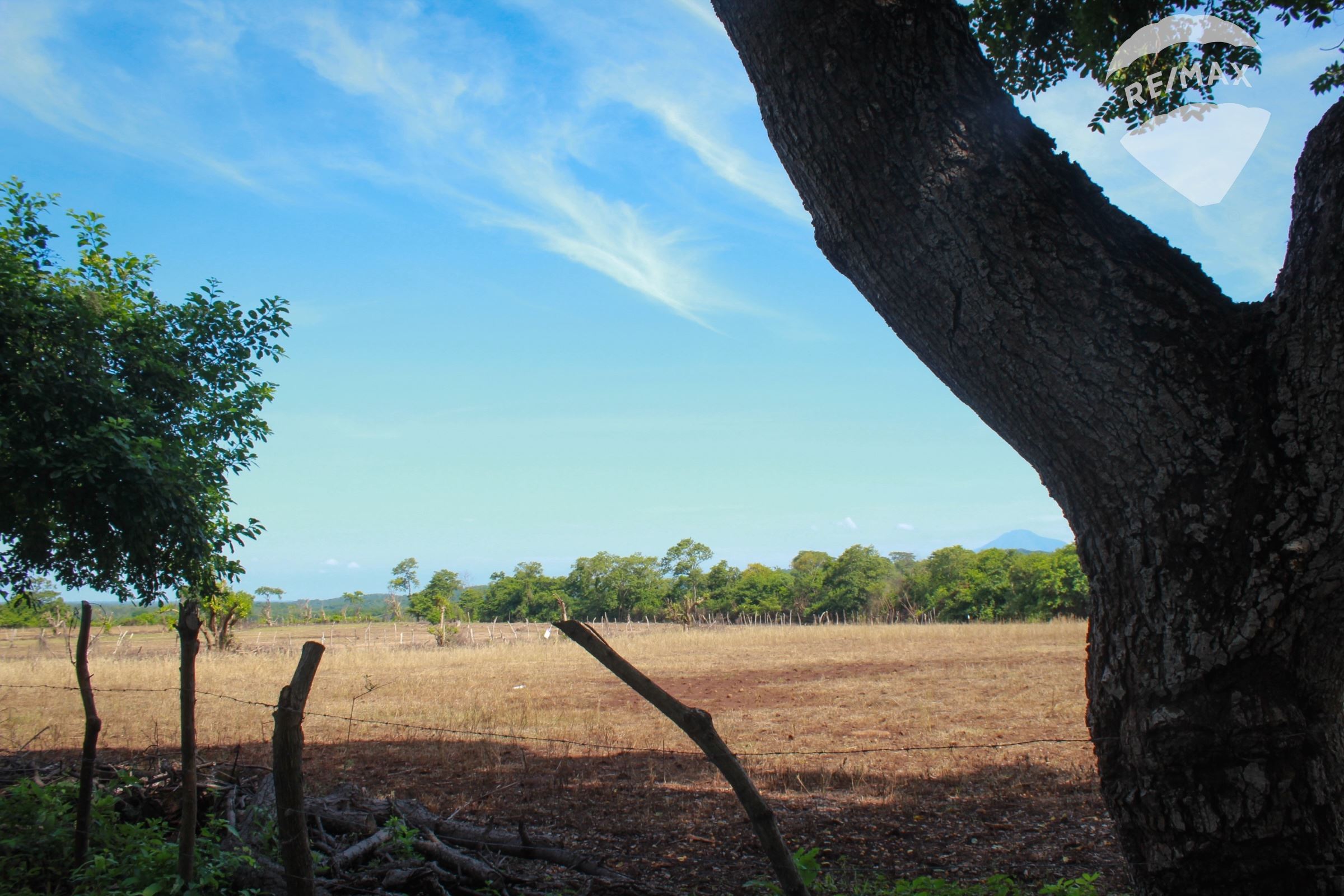 FOR SALE BEAUTIFUL LAND JOCOTE DULCE, CONCEPCION BATRES, USULUTAN