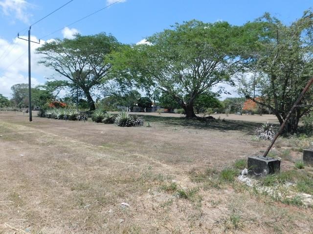 #2332 - FOUR ADJACENT LOTS WITH HIGHWAY FRONTAGE IN COROZAL, BELIZE.