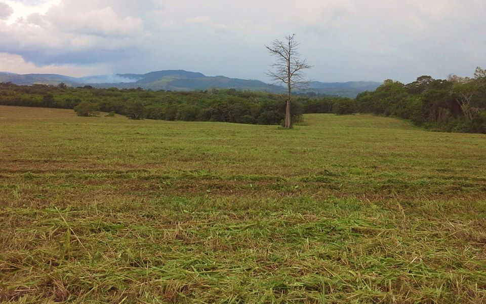 Remax real estate, Belize, Cayo, #2515 - ONE ACRE RESIDENTIAL LOTS - SAN IGNACIO, CAYO DISTRICT