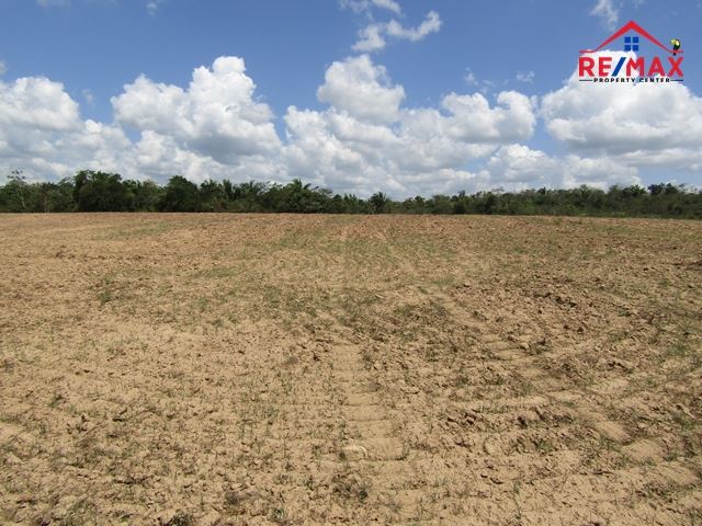 Remax real estate, Belize, Spanish Lookout, #2516 – 85 ACRES OF AGRICULTURAL LAND LOCATED CLOSE TO THE MENNONITE COMMUNITY AT SPANISH LOOKOUT.