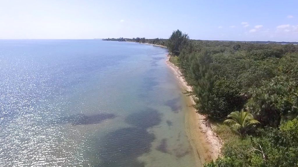 1/3 Acre Beachfront Lot in Monkey River - Monkey River Belize