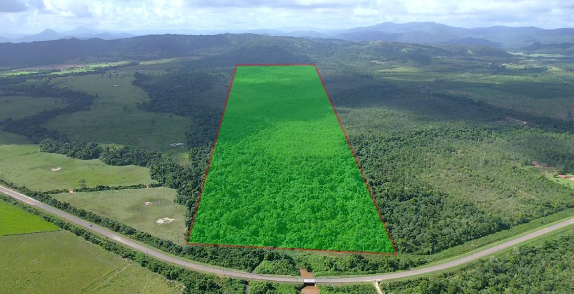131 Acres of Rich Jungle on the Southern Highway