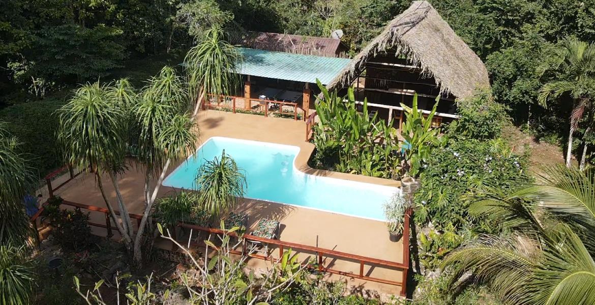 Gorgeous Jungle Resort with over 40 acres of Verdant Land