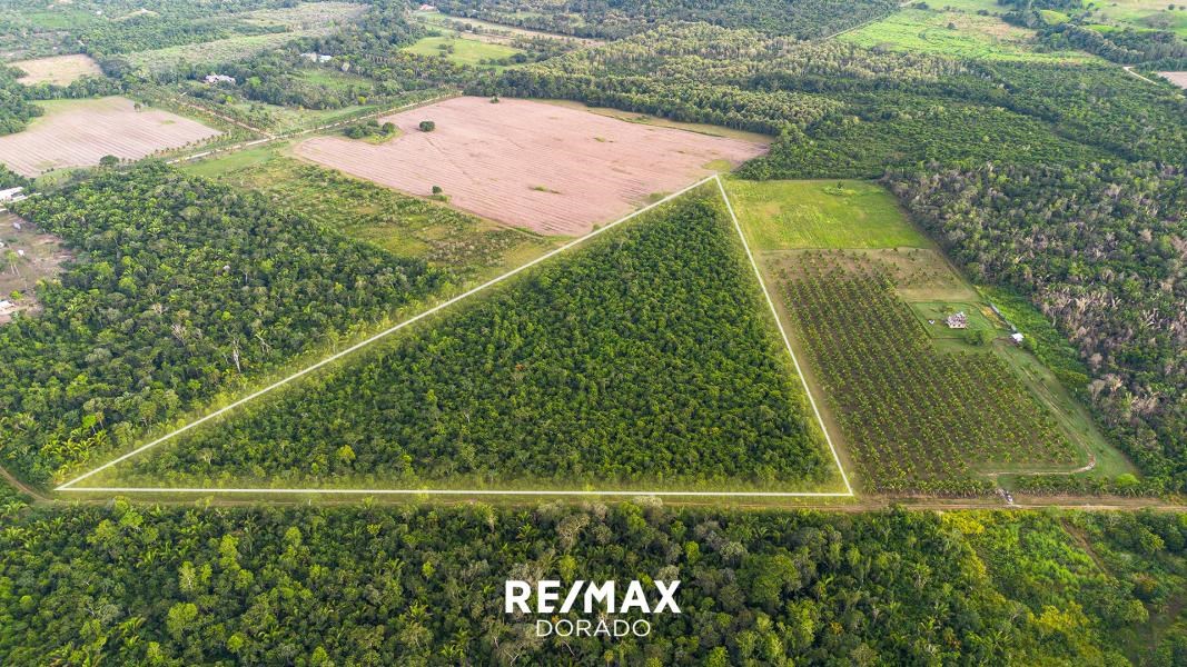 Remax real estate, Belize, Camelote, Gorgeous 26.02 Acre Land with Fertile Soil! 