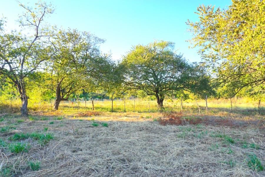 27 de Abril Land ~ Prime Land Opportunity with Main Road Frontage