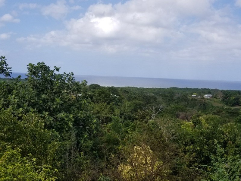 OCEANPOINTE Hanover Lucea - Lucea Jamaica