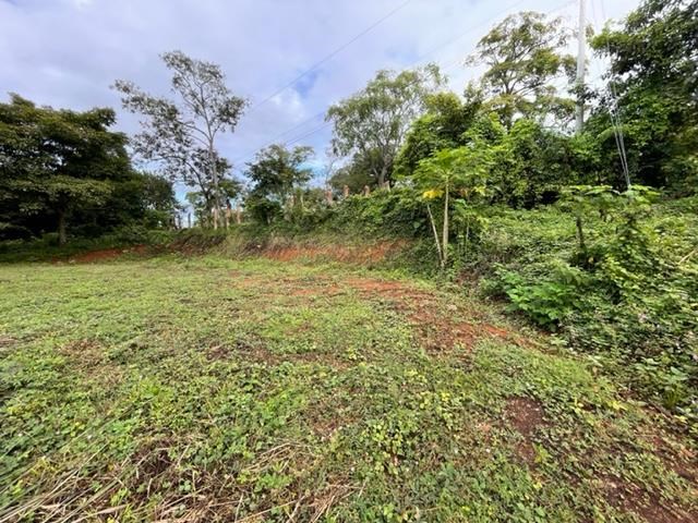 Affordable lot with views in Atenas gated community