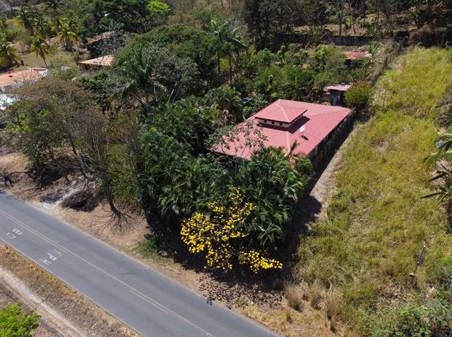 Unique style home surrounded by tropical gardens just minutes away from Atenas Center 