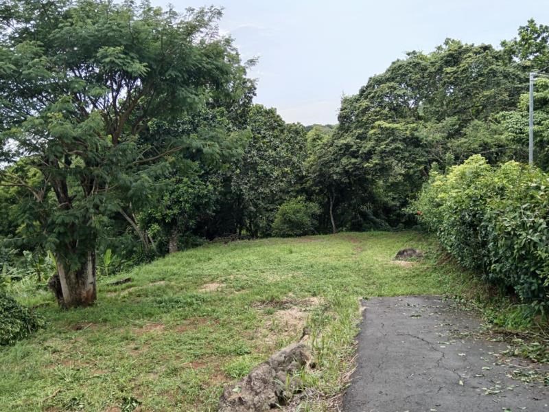 Property surrounded by nature while still having access to essential amenities