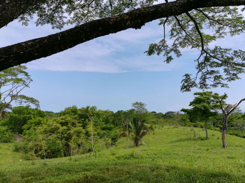 Hilltop Playa Hermosa Land Playa Hermosa De Osa Costa Rica