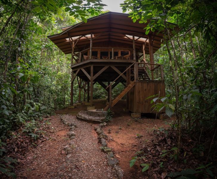 Perezosa Jungle Cabin in lush rainforest