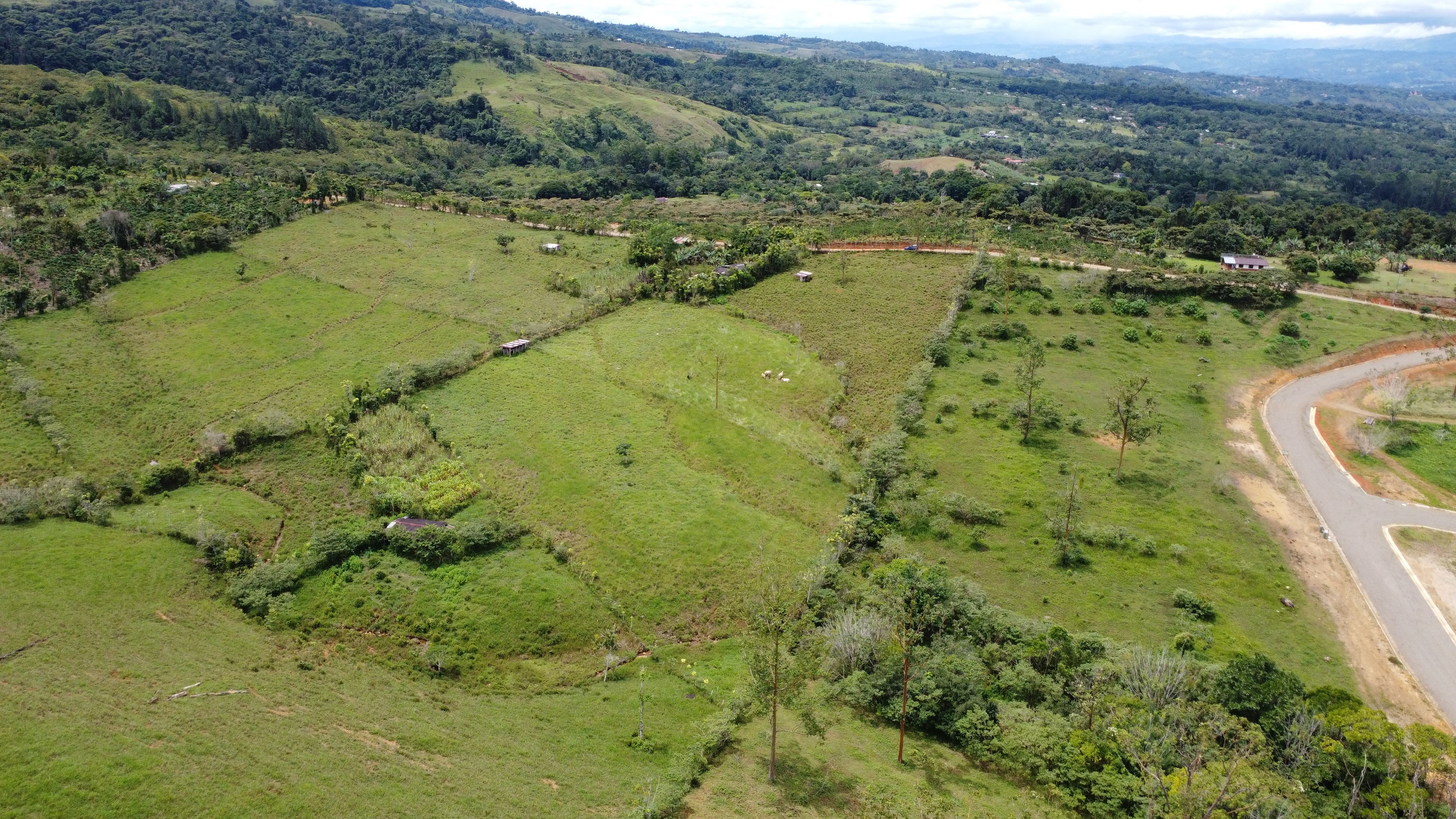 For Sale: Over 66 acres of Prime Usable Land in Santa Elena, Pérez Zeledón