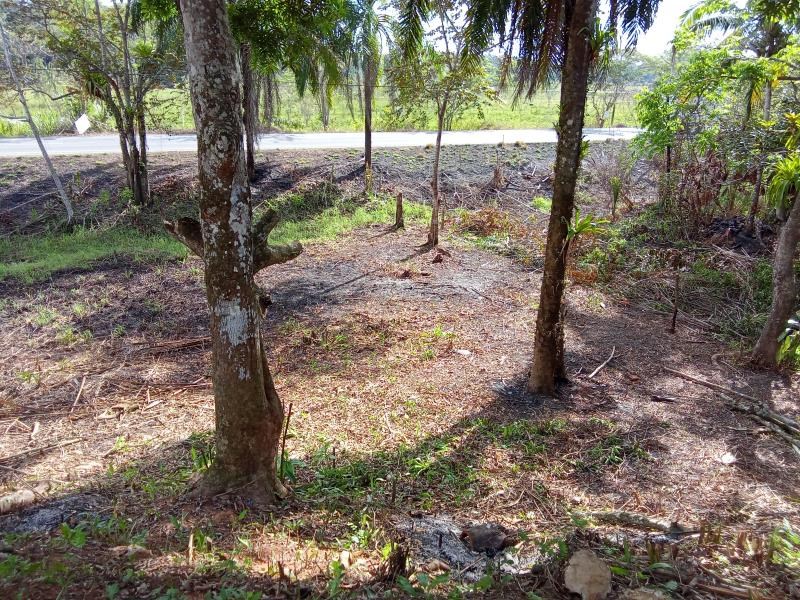 Prime Coastal Land Investment Opportunity - Quepos, Costa Rica