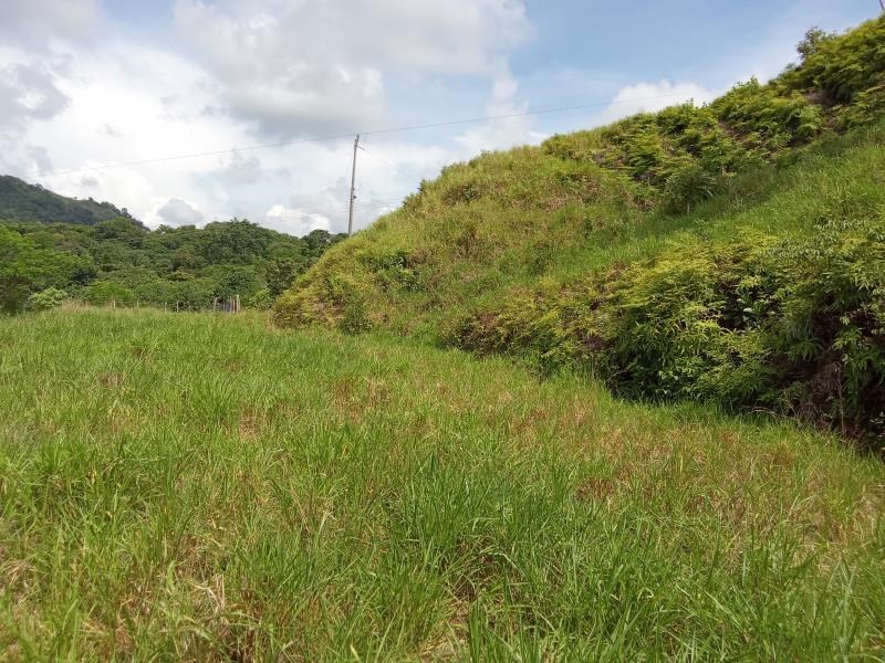 Lot in OSA near the coastal road, in a lightly traveled and very tranquil location.