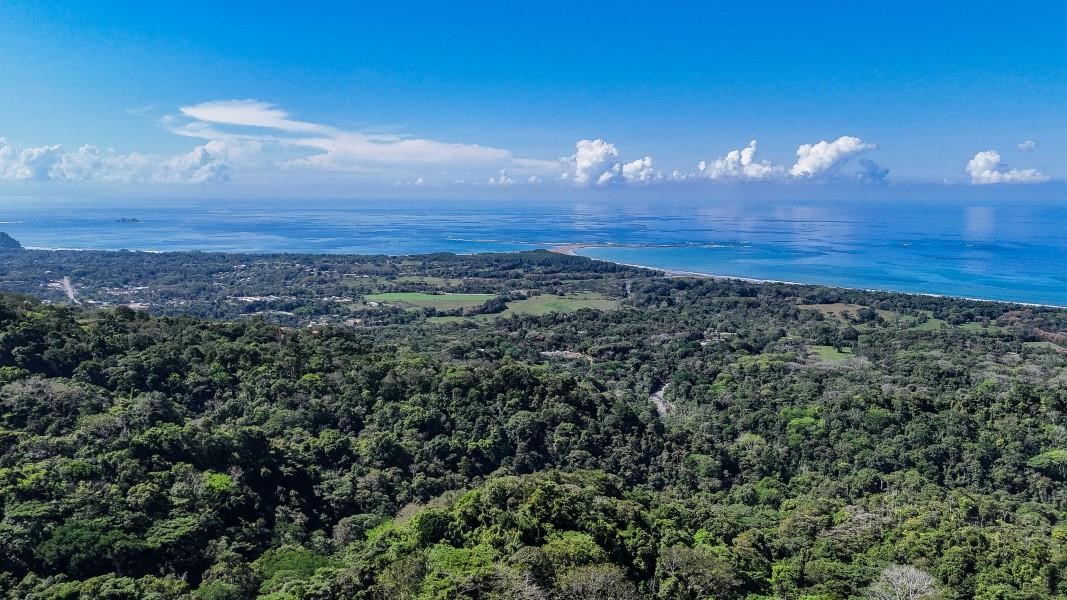 A prepared, 1.5 Acres jungle immersed lot with spectacular views of the Whale’s Tail