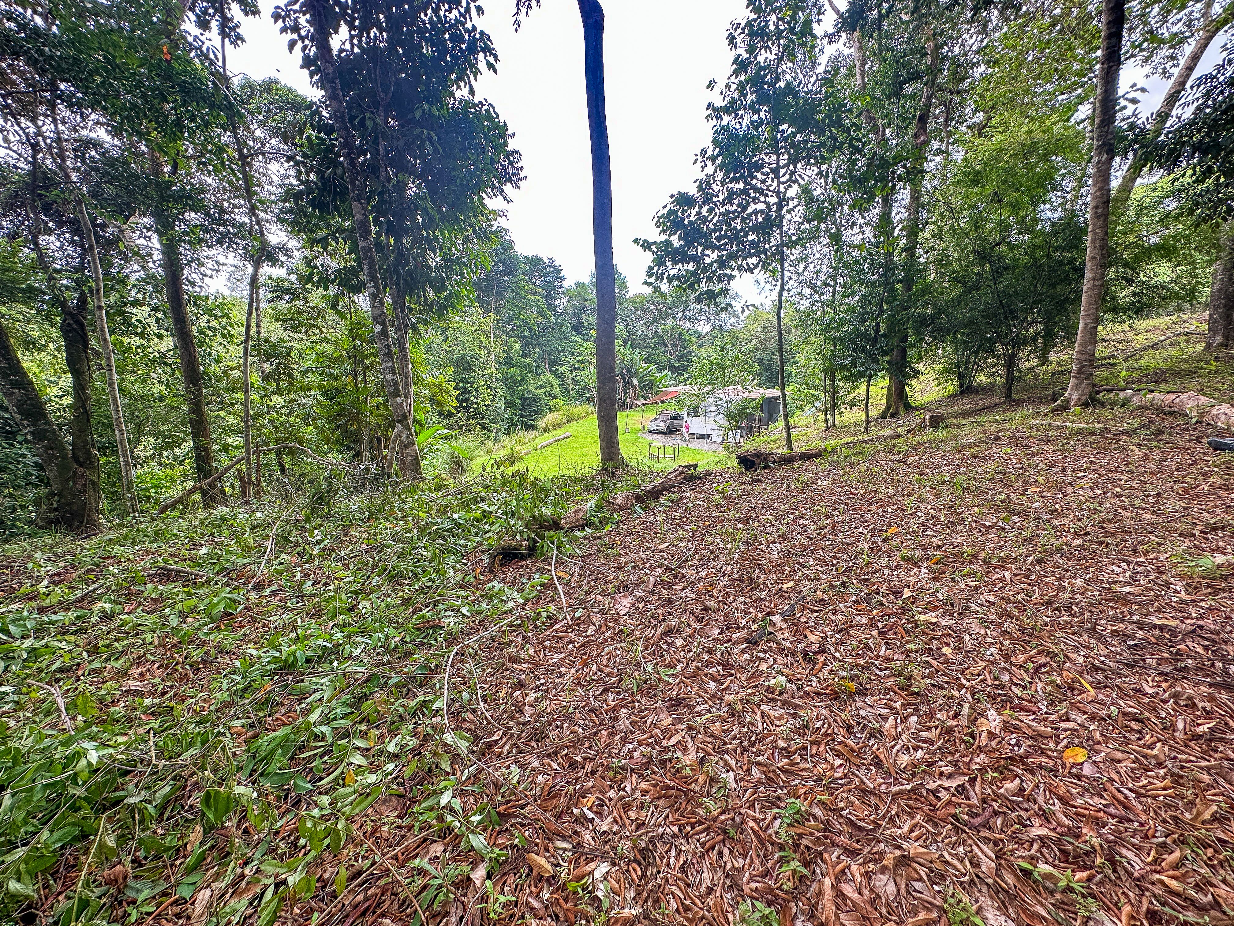 A large jungle - clad 2.1 acre property with a 1 - bed house and numerous plantels ready for development!