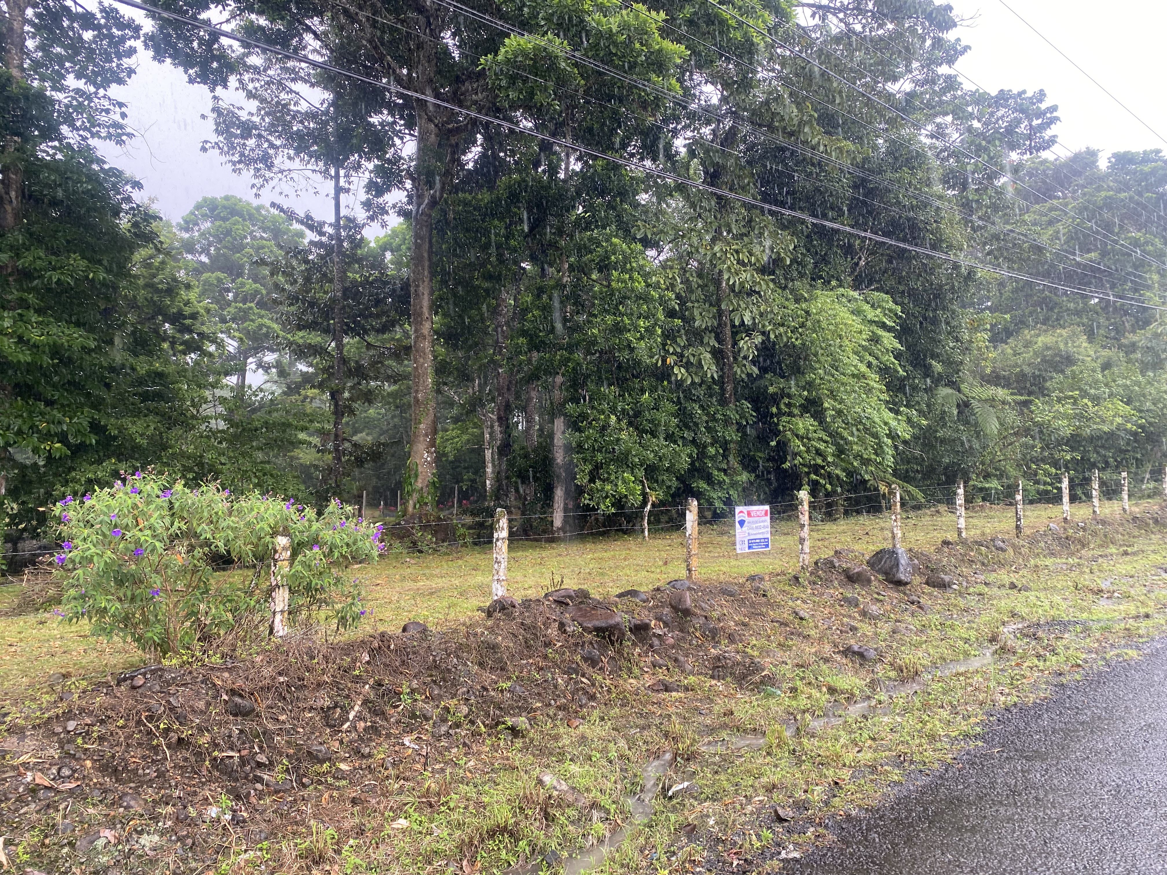 Remax real estate, Costa Rica, Pococí, Beautiful property in beautiful view Guápiles, Mixed land use. 10,000m2, MML