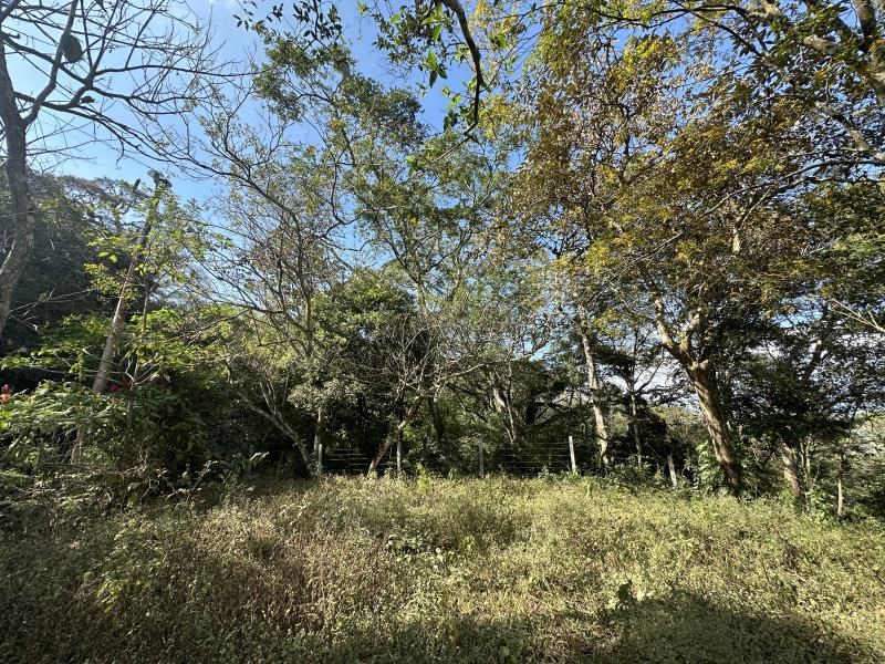 Remax real estate, Costa Rica, Mora, Lot surrounded by total nature in Rodeo de Mora