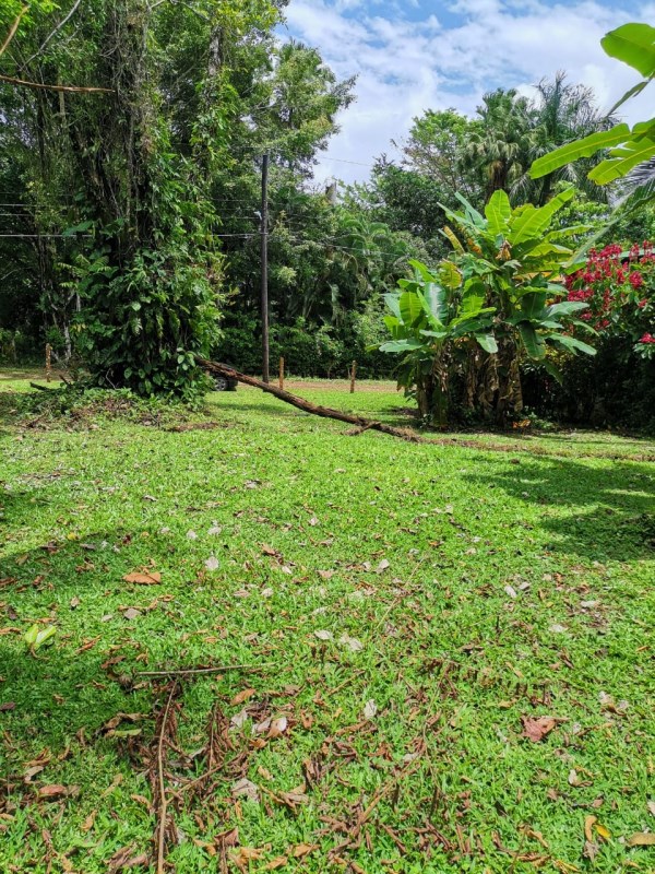 Chachagua Lot, 1/4 Acre of Land Ready to Build, 20 mins from Arenal Volcano and 15 mins from La Fortuna