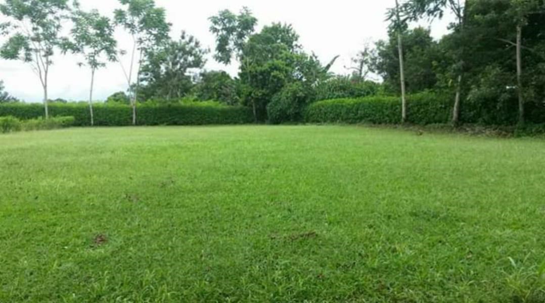 Lot for Building a House near La Fortuna Volcano - welcome to Sonafluca Costa Rica 