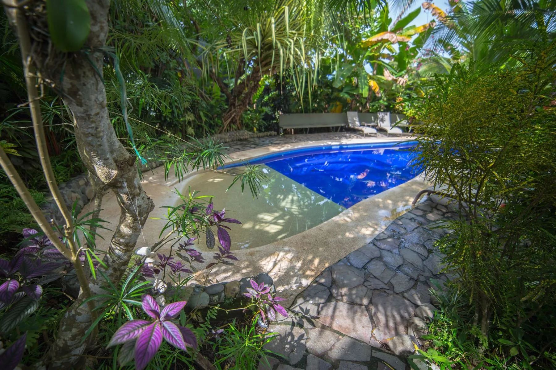 Villas Oasis - Stunning Vacation Rentals in the heart of Manuel Antonio