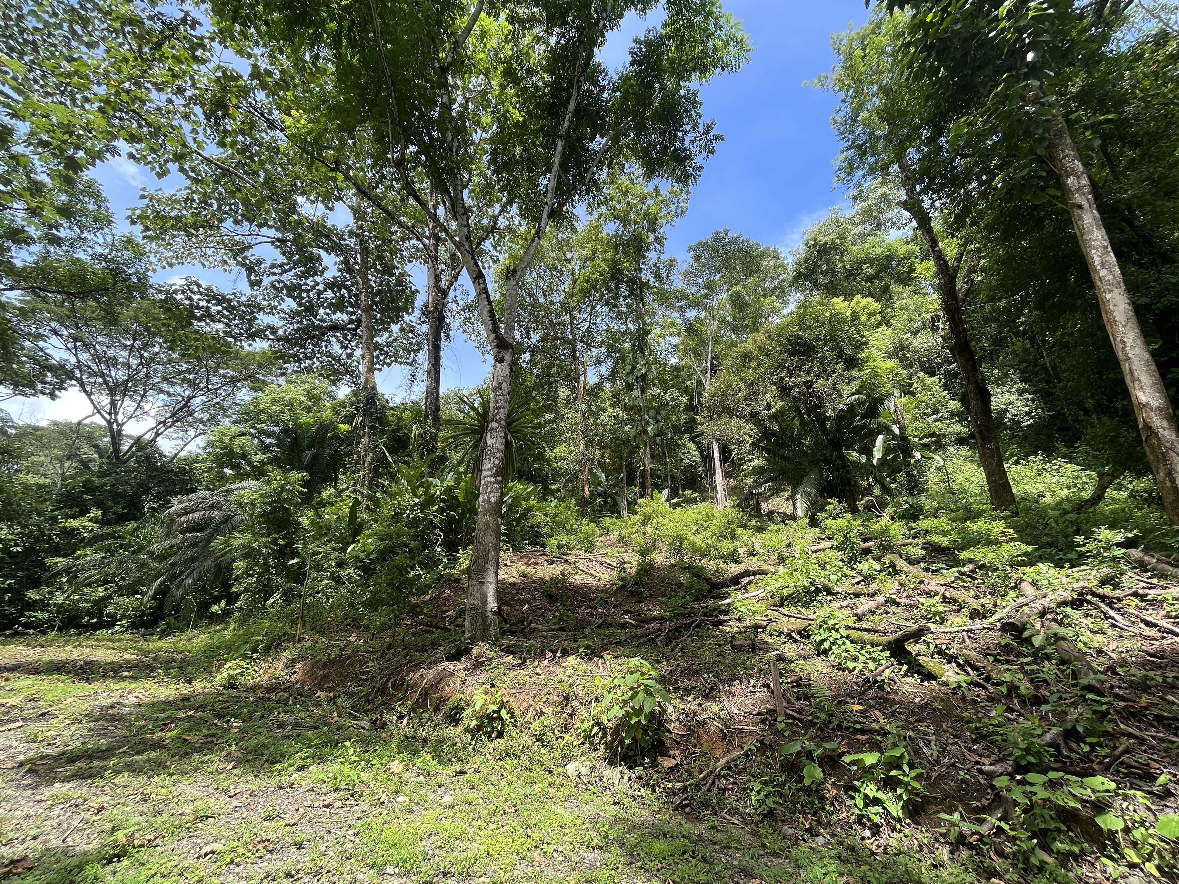 Quepos 1.2 acre parcel for only $10 per square meter 