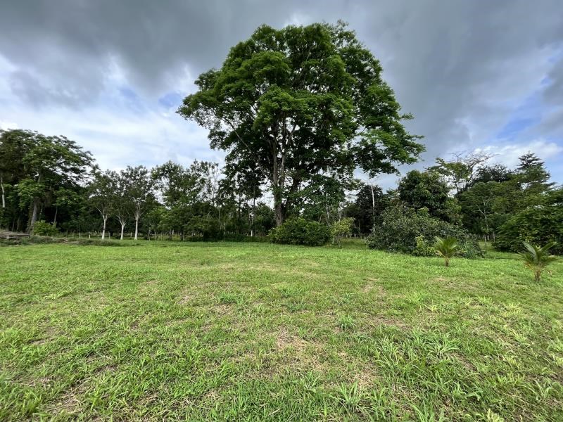 Large property with a new house, lake, tilapia farm and fruit trees for sale - SELLER FINANCING AVAILABLE