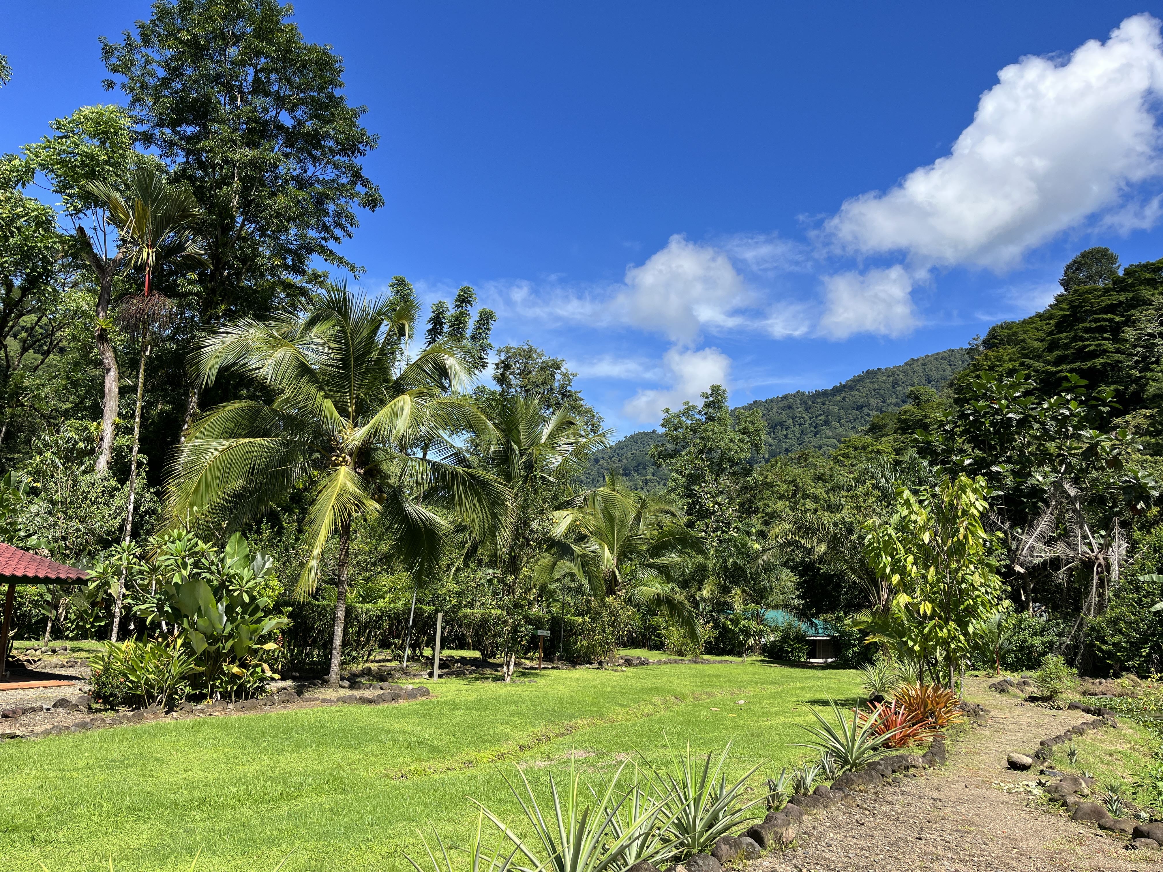 RE/MAX real estate, Costa Rica, Quepos, Stunning 16049 sqft Eco-Friendly Lot with Hot Springs, Waterfall Access, and Modern Amenities in Secure Community near Quepos