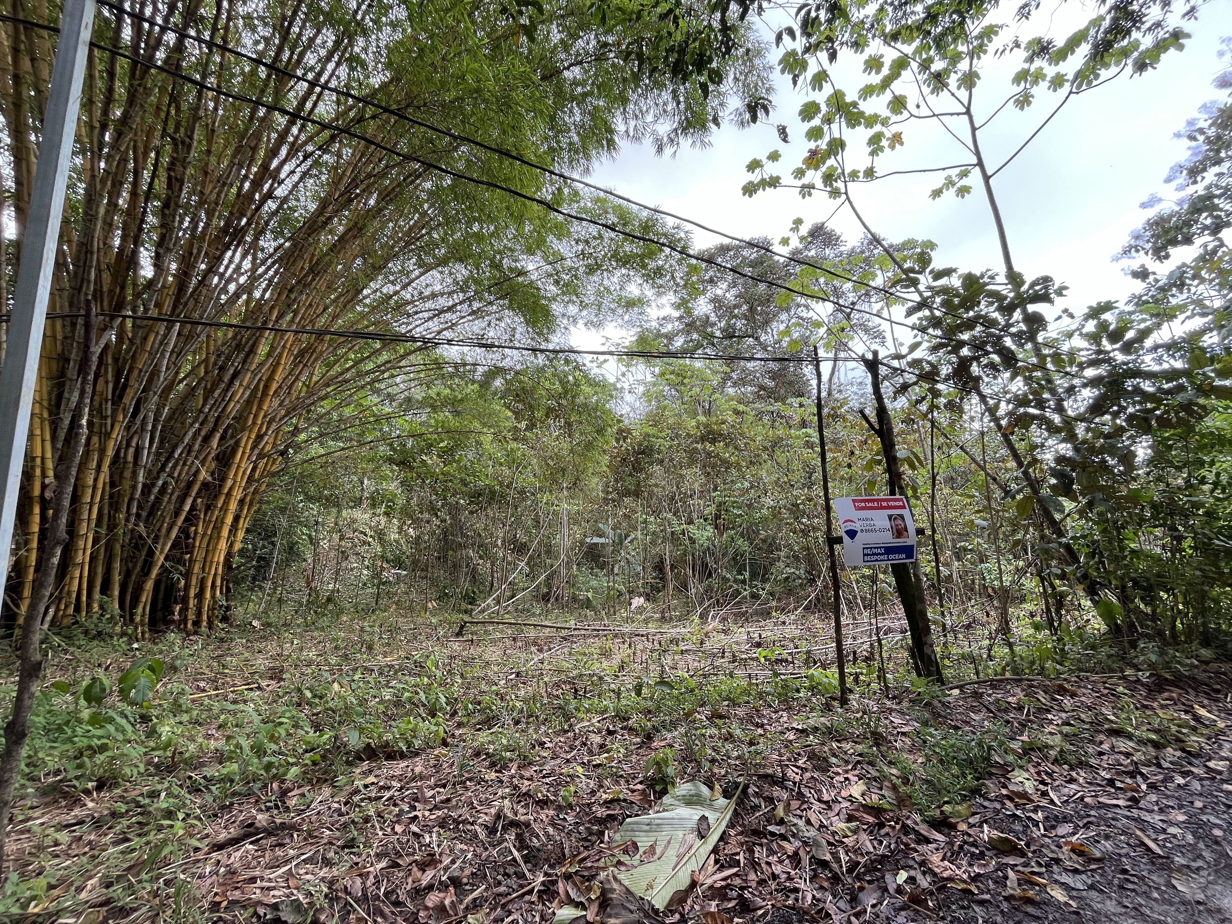 Remax real estate, Costa Rica, Savegre de Quepos, 2.5 Acres near the beach Playa Linda, Quepos – Perfect for Your Dream Home or Vacation Rentals!