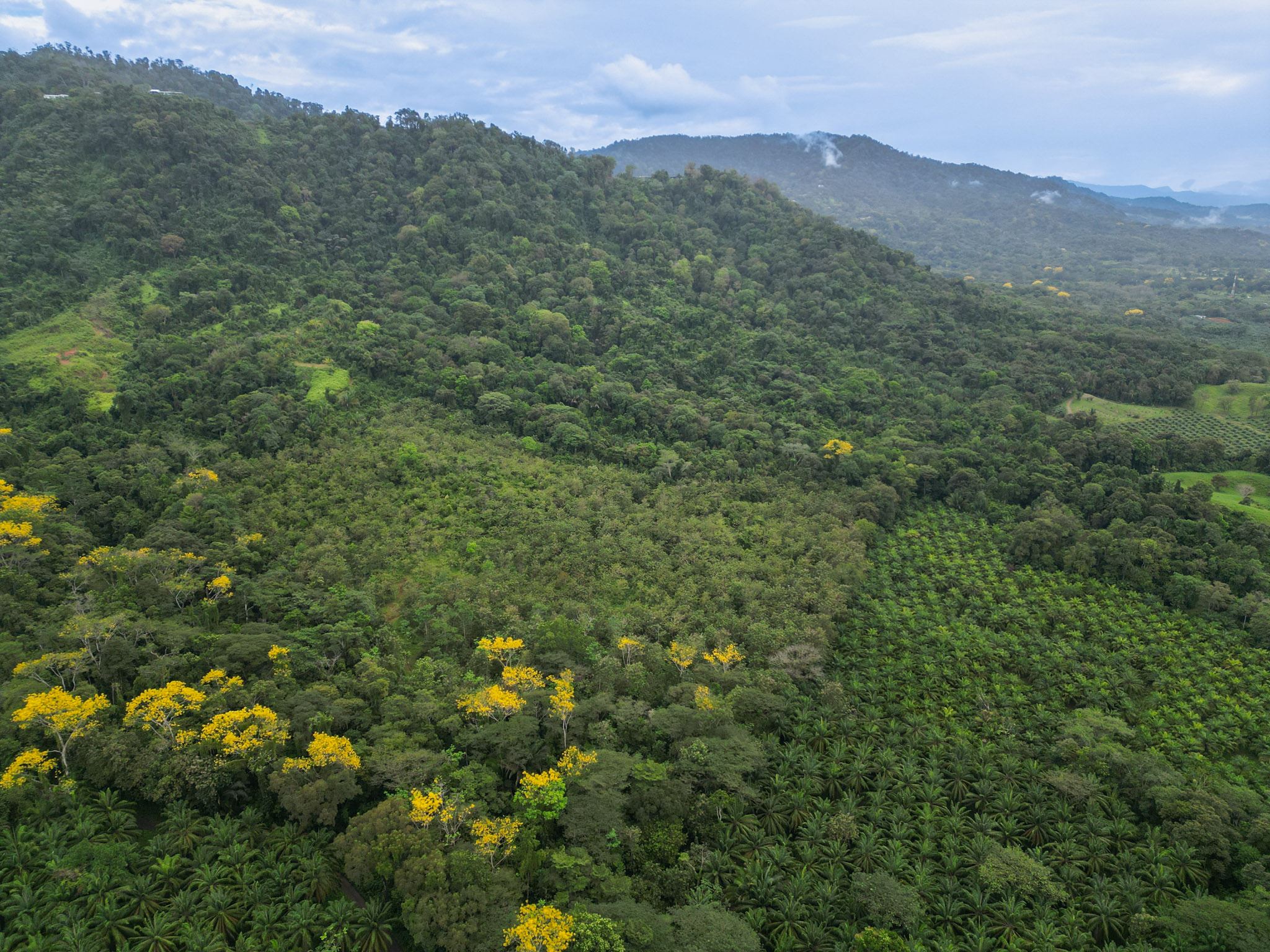 RE/MAX real estate, Costa Rica, Savegre, Stunning 54 Hectares with Parcelled Lots and Ocean View - Overlooking the Manuel Antonio National Park