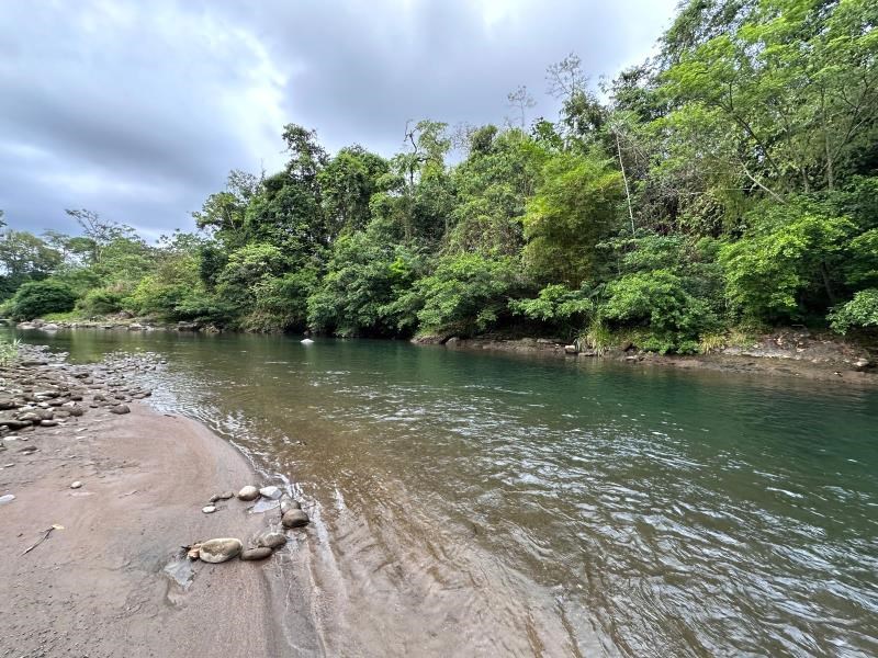 FOR SALE: 2.49-Hectare Land Bordered by a Large River between Bijagua and Upala