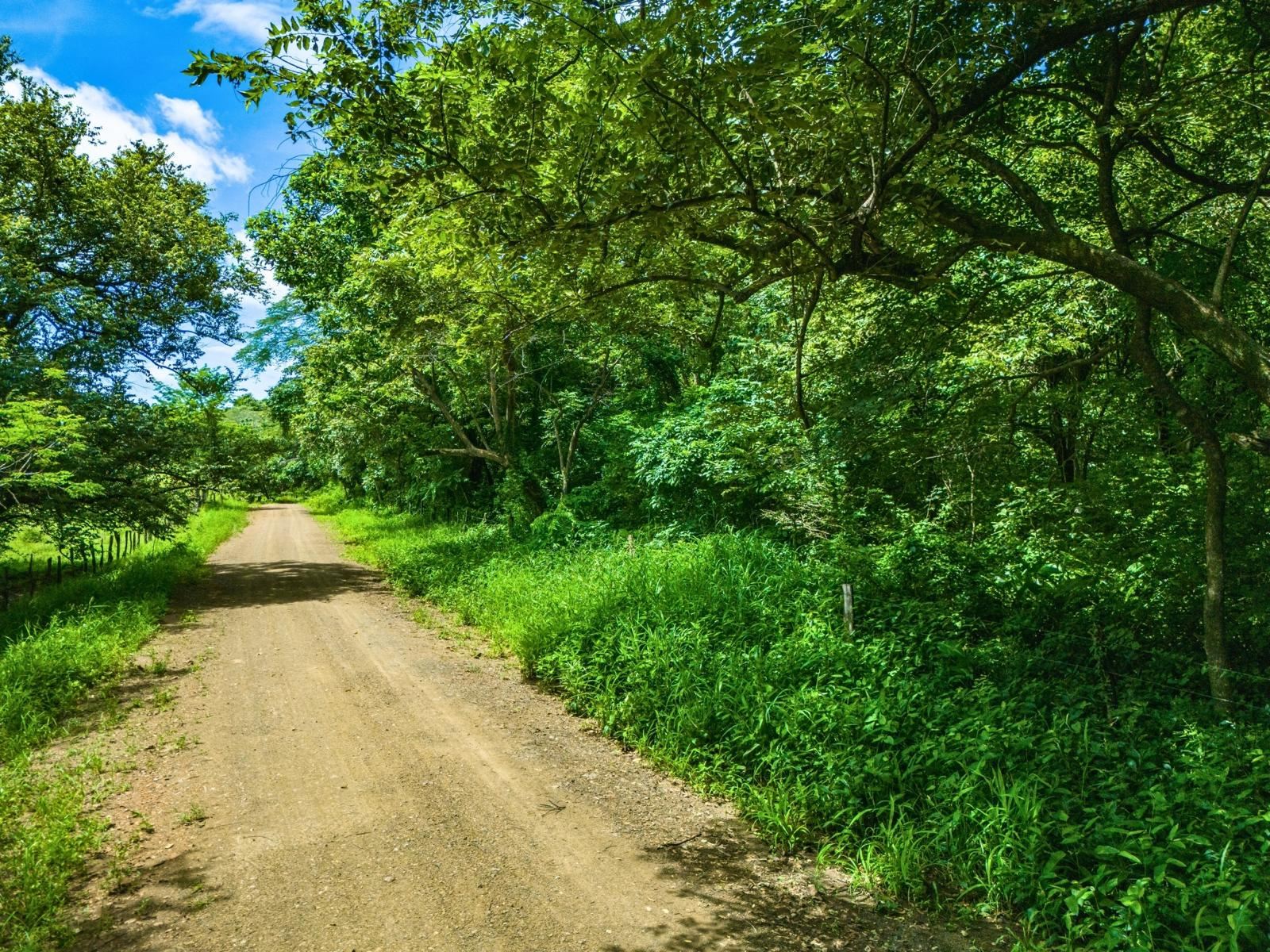 Land Opportunity in Santa Cruz, Guanacaste, 4.9421 acres at an excellent price